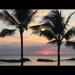 Meet your Posher, Glenda